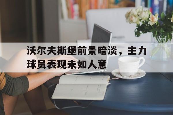 沃尔夫斯堡前景暗淡，主力球员表现未如人意的简单介绍